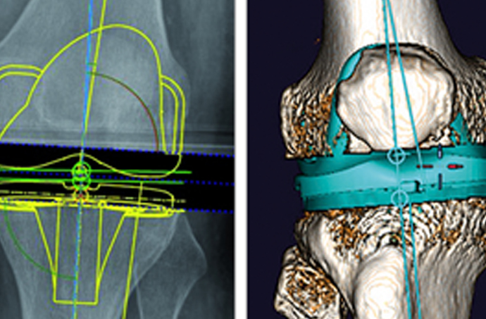 3D anatomy and physiology