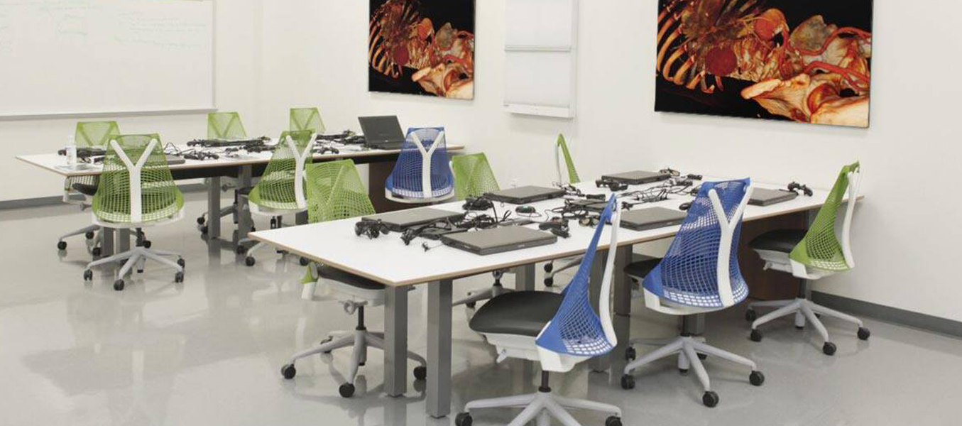 anatomy skill lab in banglore