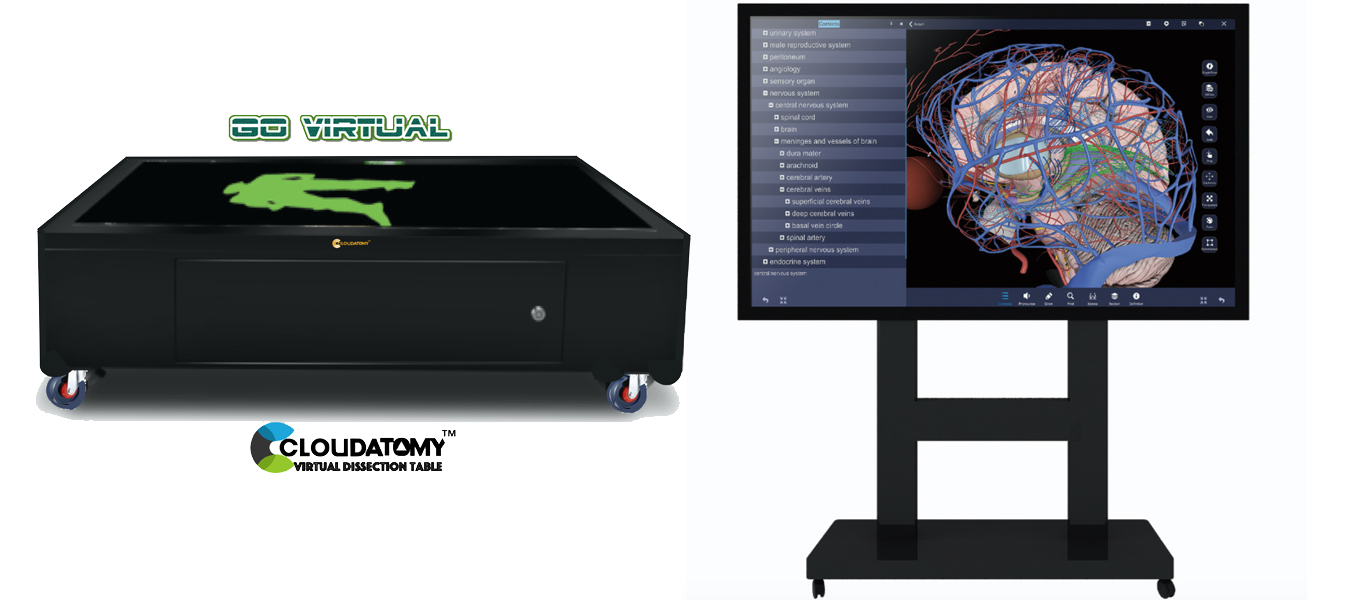 Virtual dissection lab system