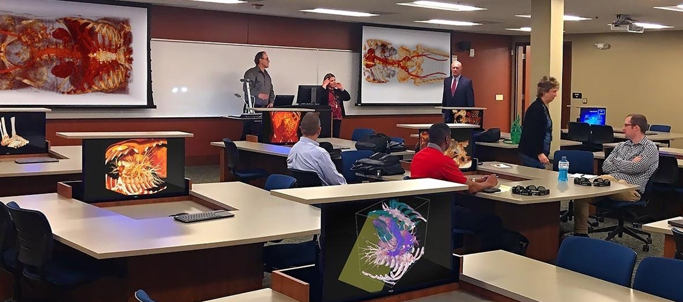 Medical education skill enhancement programs